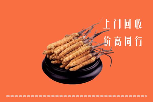 收购行情：无锡市惠山回收散虫草