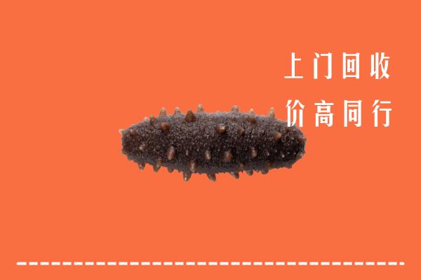 附近收购：无锡市惠山回收海参